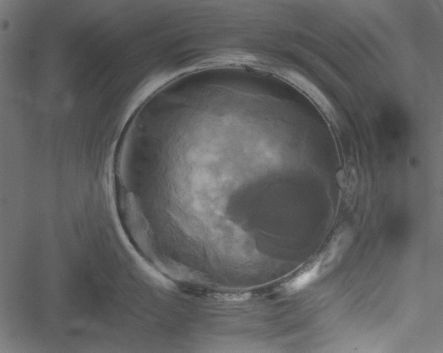 X0000051241055200506171105