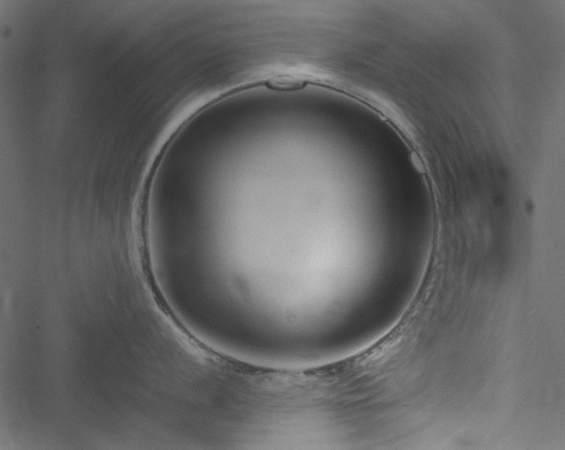 X0000051241056200506171105