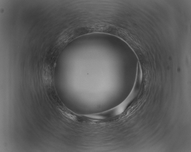 X0000051241058200506171104