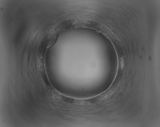 X0000051241059200506171104