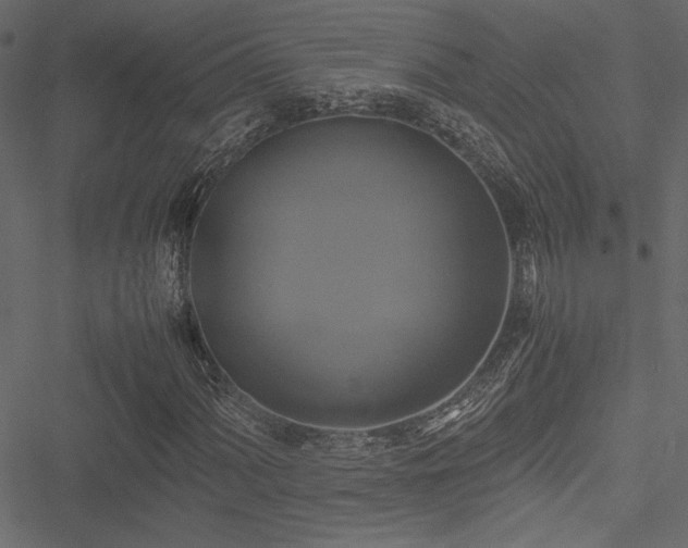 X0000051241060200506171104