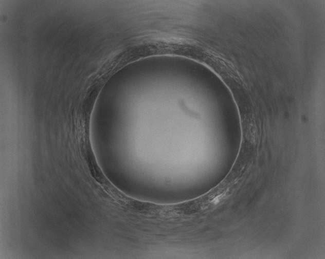 X0000051241061200506171104