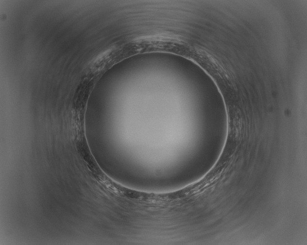 X0000051241062200506171104