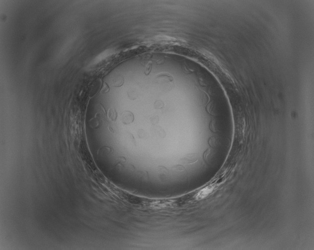 X0000051241063200506171104