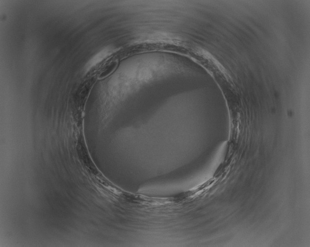 X0000051241064200506171104