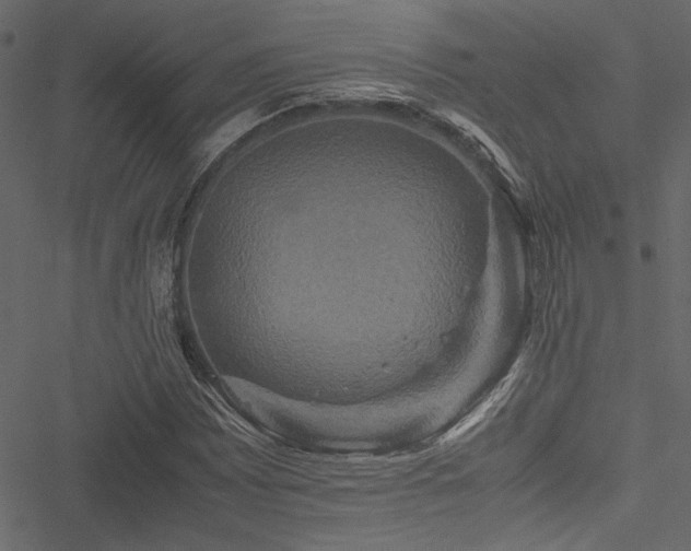 X0000051241065200506171104