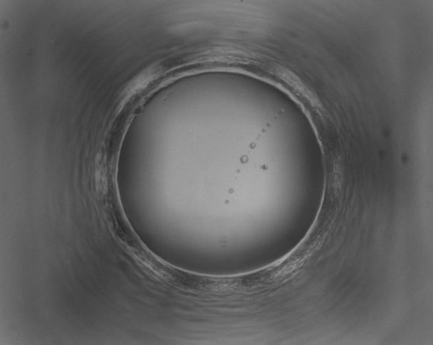 X0000051241067200506171104