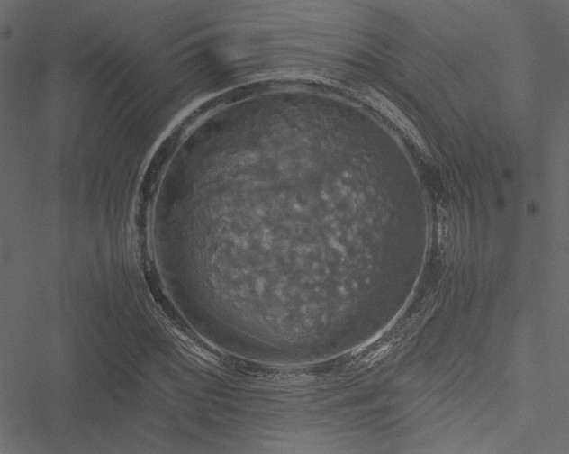 X0000051241068200506171104