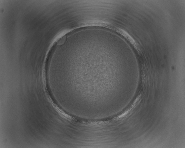 X0000051241072200506171104