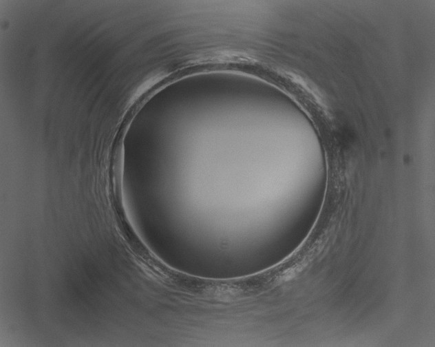 X0000051241073200506171104