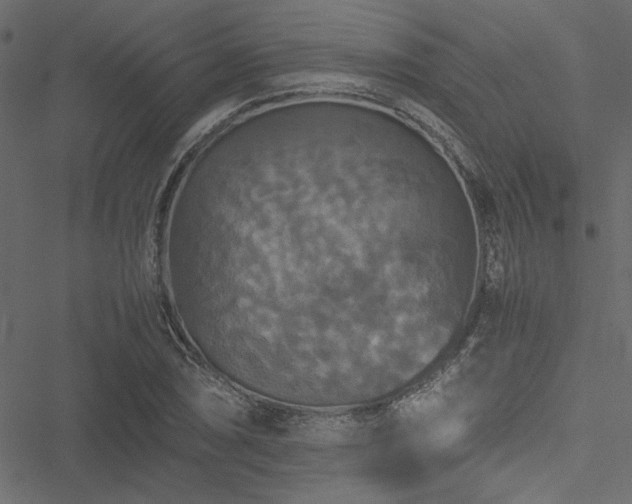 X0000051241074200506171104