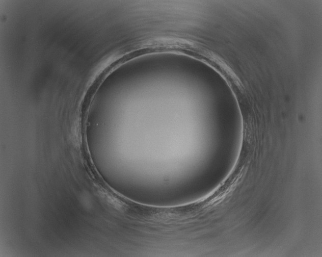 X0000051241075200506171104