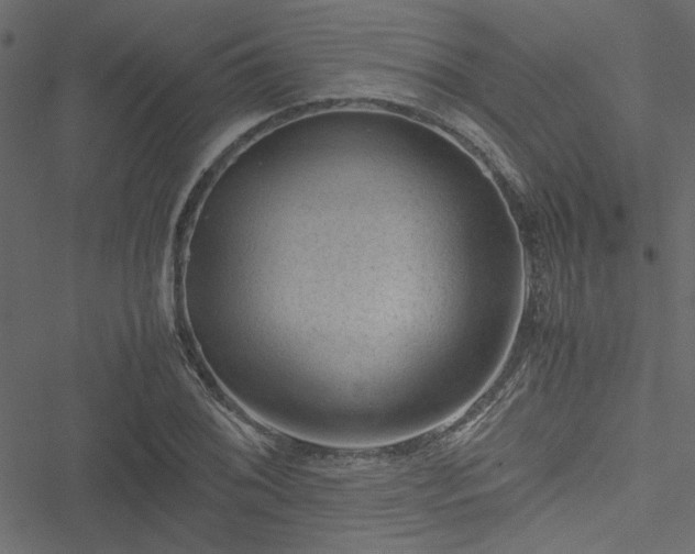 X0000051241076200506171104