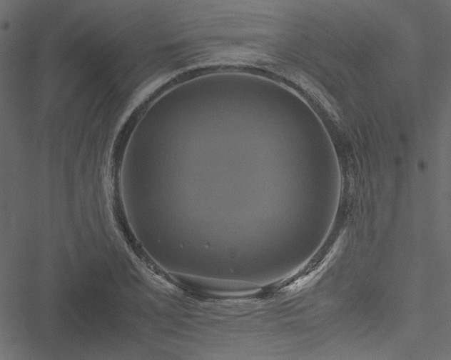 X0000051241077200506171104