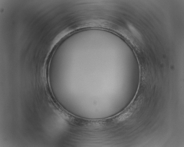 X0000051241078200506171104