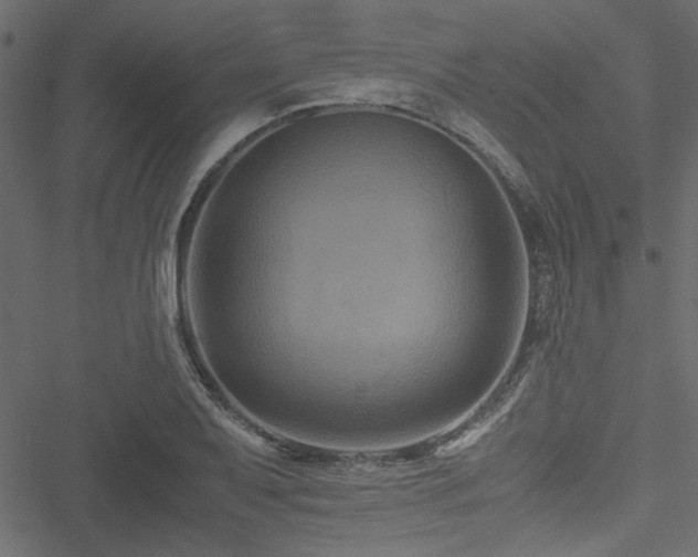 X0000051241079200506171104