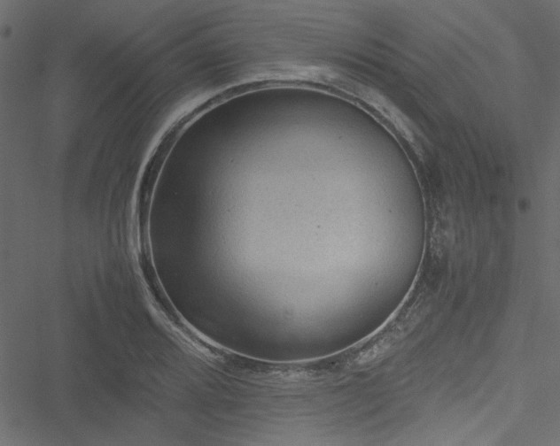 X0000051241080200506171104