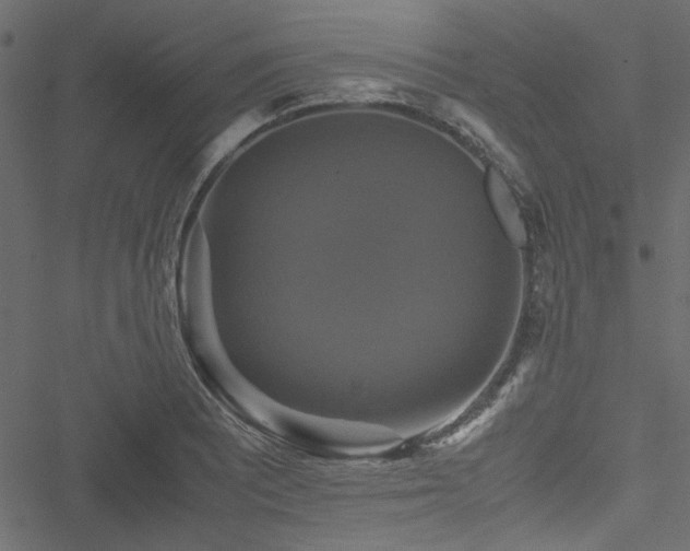 X0000051241081200506171104