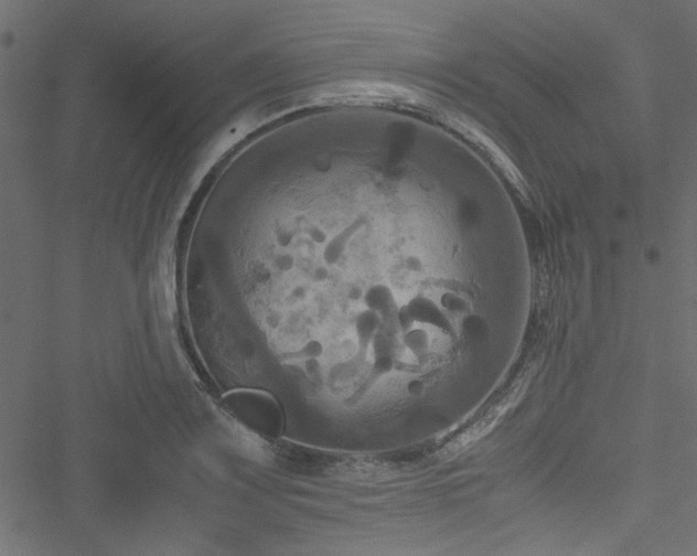 X0000051241083200506171104