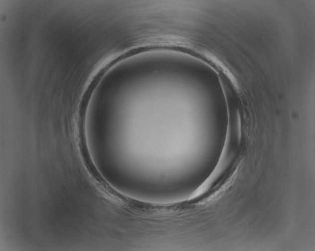 X0000051241085200506171104