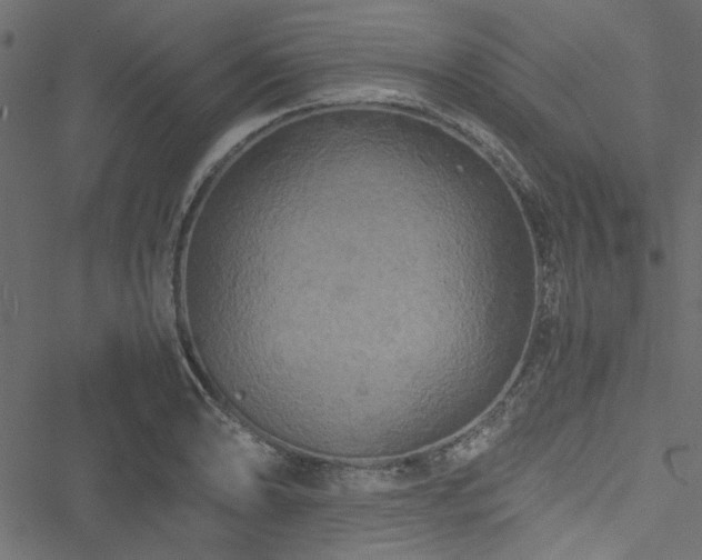 X0000051241086200506171104