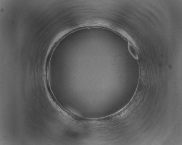 X0000051241088200506171104