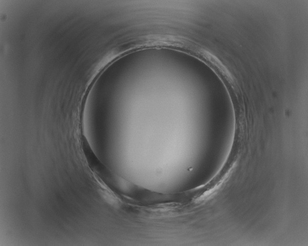 X0000051241089200506171104