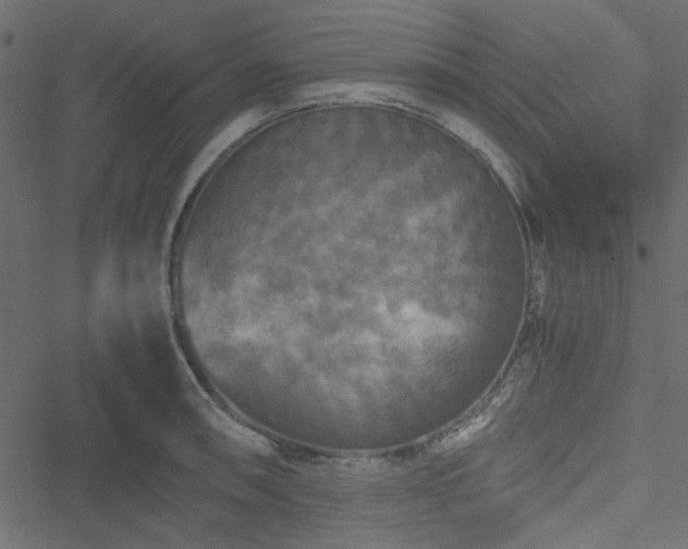 X0000051241090200506171104