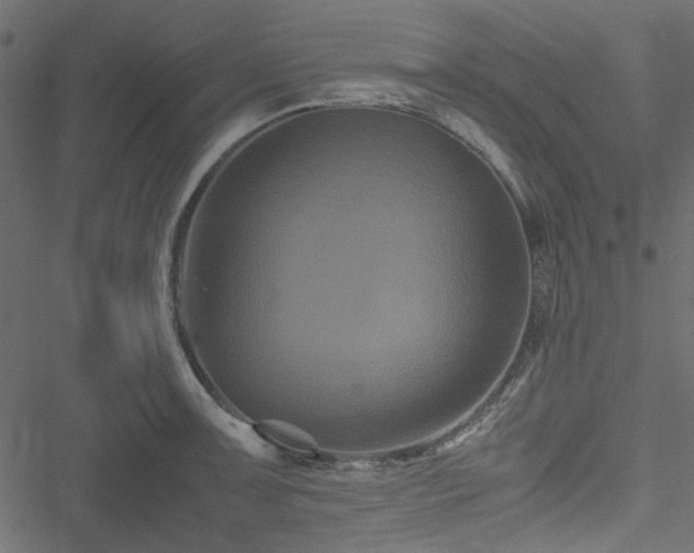 X0000051241091200506171104