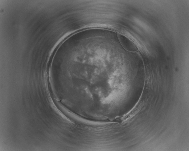 X0000051241092200506171104