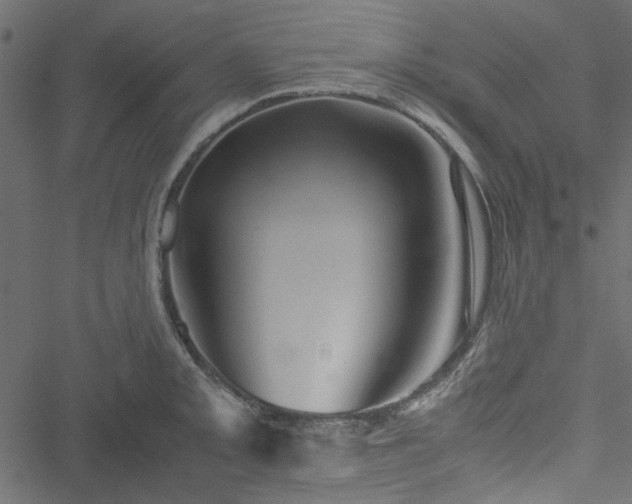 X0000051241093200506171104