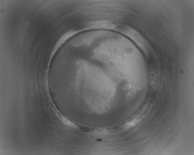 X0000051241094200506171104