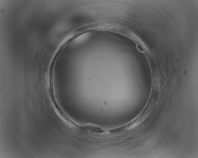 X0000051241095200506171104