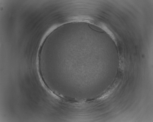 X0000051241096200506171104