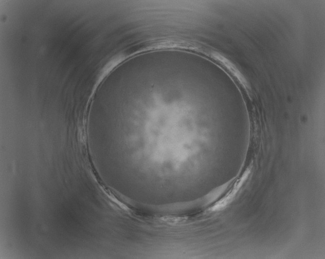 X0000051241097200506171104