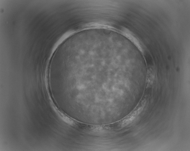 X0000051241098200506171104