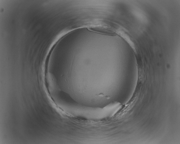 X0000051241099200506171104