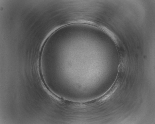 X0000051241100200506171104