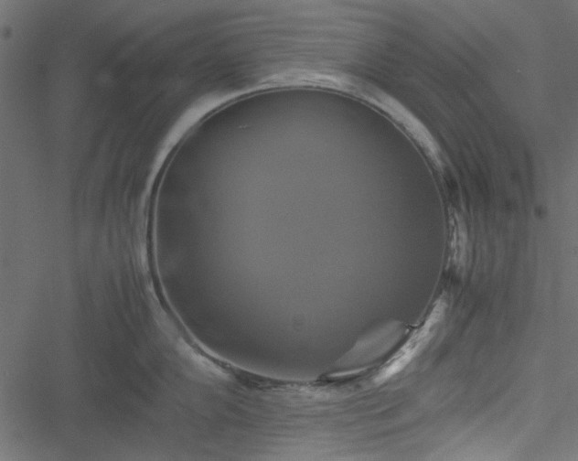 X0000051241102200506171104