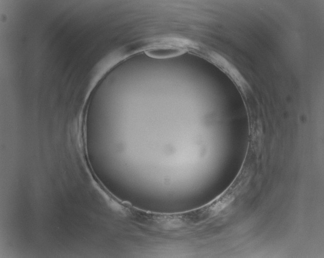 X0000051241103200506171104