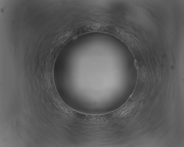 X0000051241105200506171103