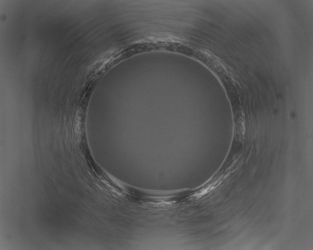 X0000051241110200506171103