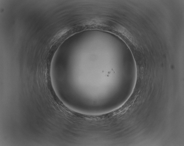 X0000051241111200506171103