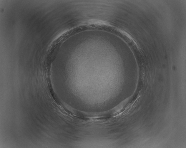 X0000051241112200506171103