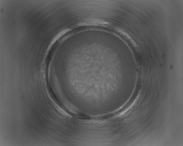 X0000051241114200506171103