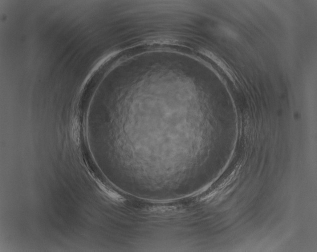 X0000051241115200506171103