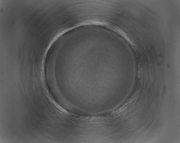 X0000051241116200506171103