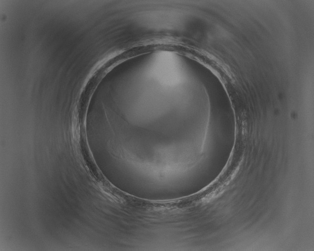 X0000051241117200506171103