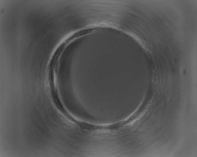 X0000051241118200506171103