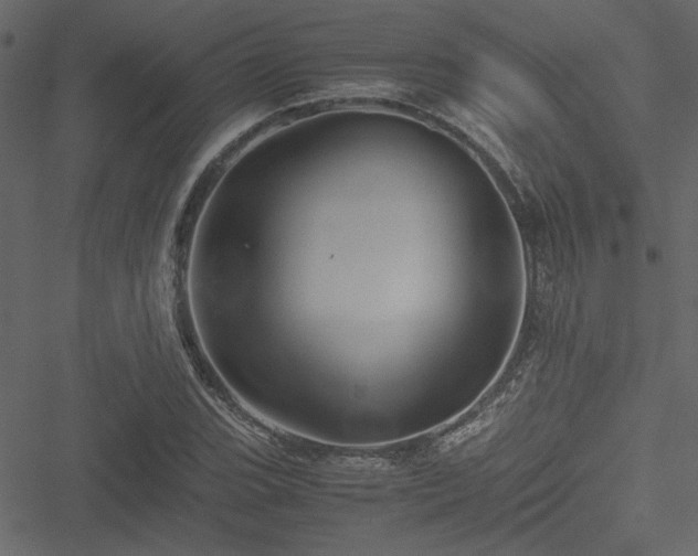 X0000051241119200506171103